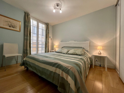 Lovely 1-bedroom apartment near the Tuileries Garden - Gallery - 18