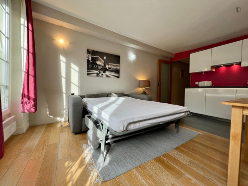 Lovely 1-bedroom apartment near the Tuileries Garden - Gallery - 26