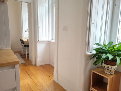 Cosy and luminous 1-bedroom apartment near IST