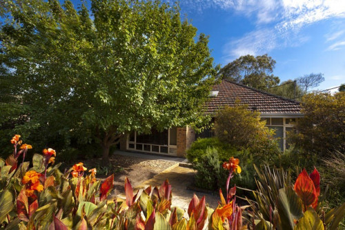 Park Lane House  - Gallery -  2