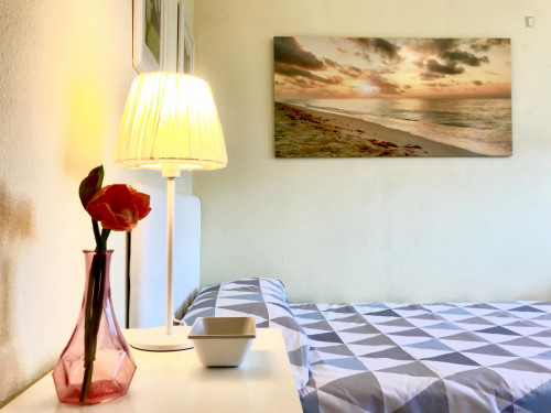 Single bedroom in 5-bedroom apartment