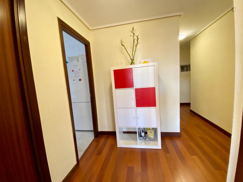 Single bedroom in 4-bedroom apartment