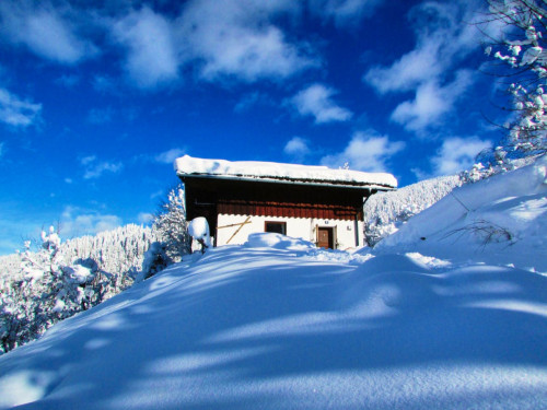 Charming chalet near Liechtensteinklamm Gorge