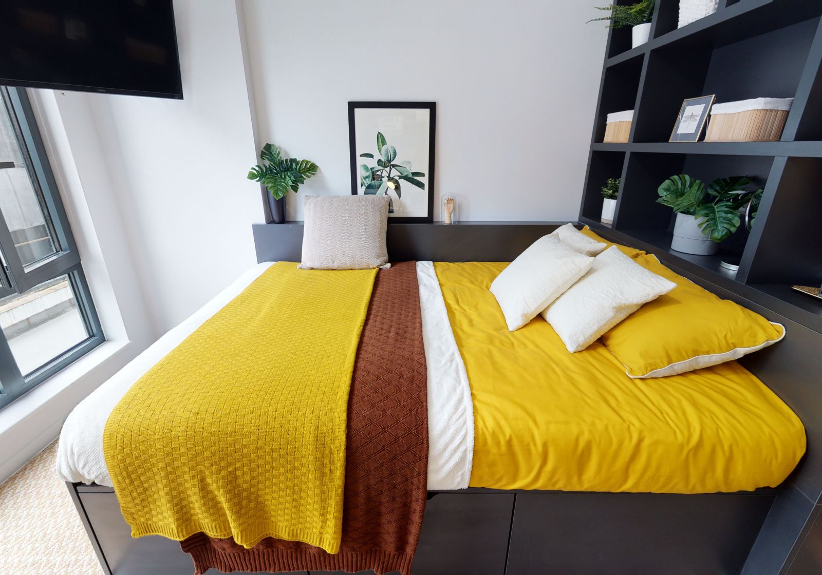  Gold Studio  -  iQ Bloomsbury  - Gallery -  3