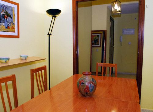 Single bedroom in a 6-bedroom apartment close to Marq - Castillo train station - Gallery - 20