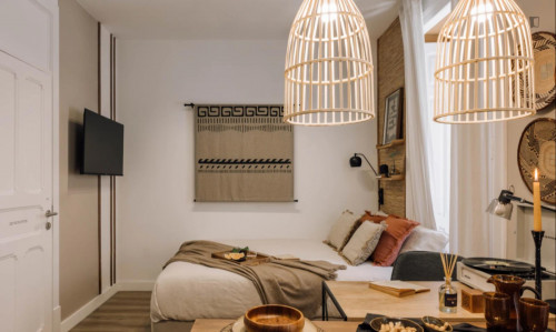 Beautiful studio in Entrecampos