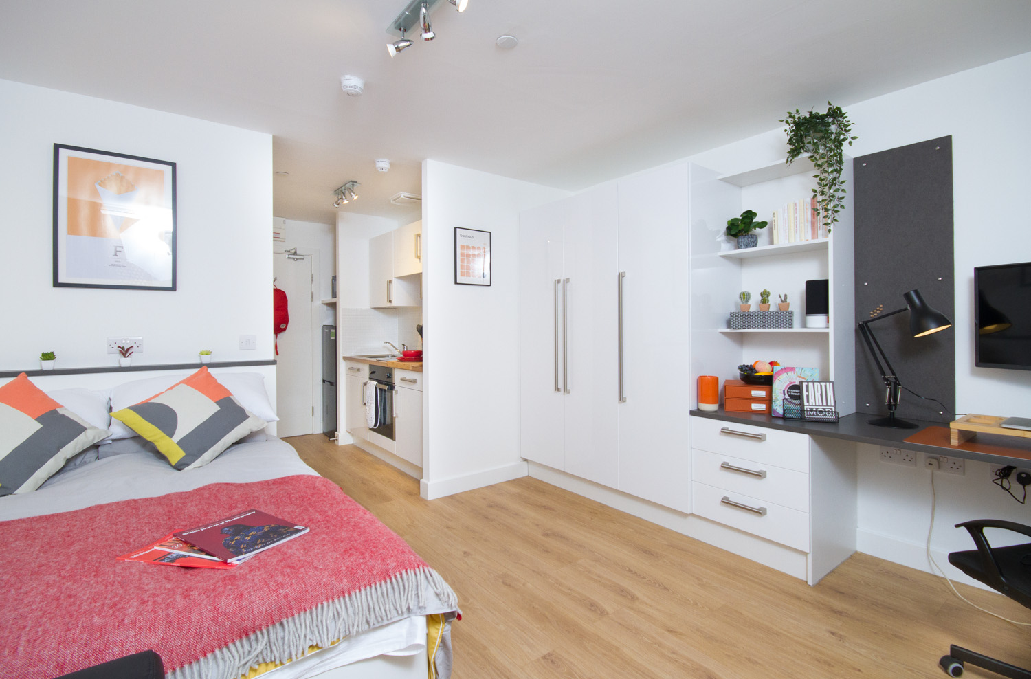 Large Deluxe Studio - CODE Fairfax Street - Gallery - 2