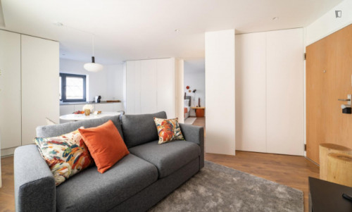 Lovely 1-bedroom apartment near Parque Da Ponte
