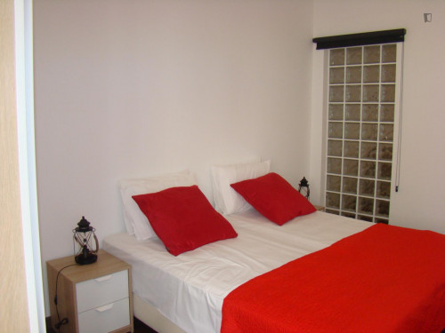 1-bedroom apartment  - Gallery -  5