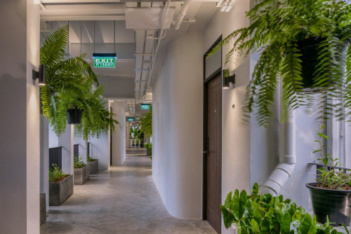 Gorgeous hotel near Wat Pa Khlong Kung