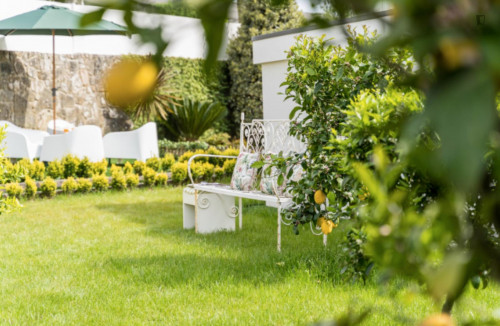 Amazing 2-bedroom house within a 30-minute drive from Braga