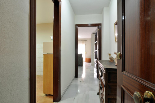 Nice single ensuite bedroom in a 4-bedroom apartment 15' walking from Campus Universitario  - Gallery -  5