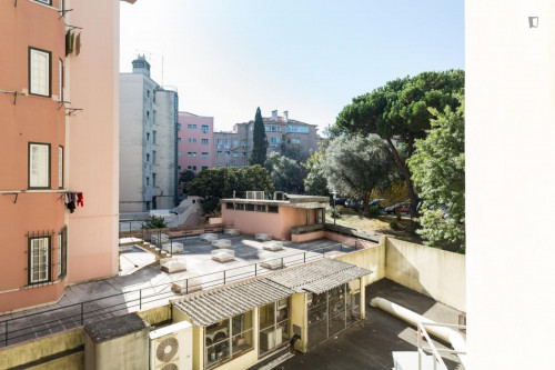 Attractive single bedroom  - Gallery -  5