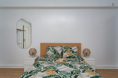 Great looking single bedroom