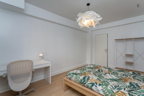 Great looking single bedroom