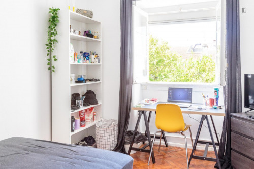 Attractive single bedroom