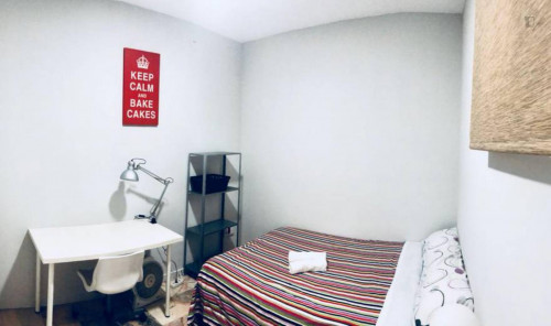 Comfortable single bedroom near Campus Ramón y Cajal US