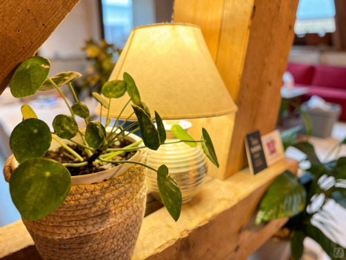 Stylish house near Haut Lion Bus Stop