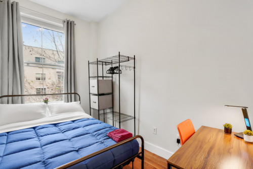 Williamsburg Meserole Home - Gallery - 17
