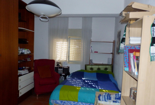 Neat double bedroom quite close to Universidad de Sevilla, just for students (20 to 35 years old)