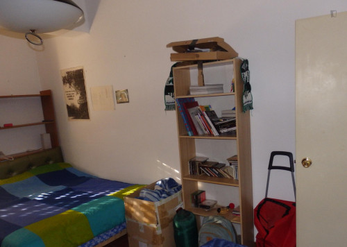 Neat double bedroom quite close to Universidad de Sevilla, just for students (20 to 35 years old)