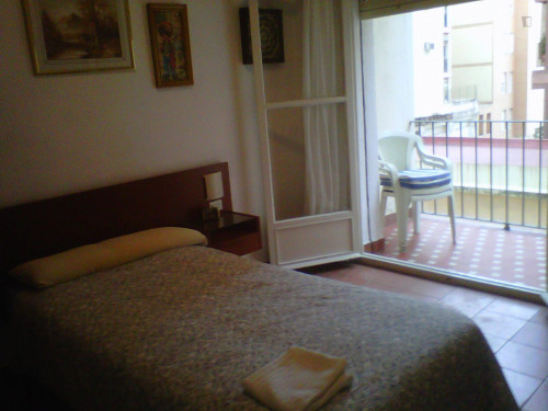 Pleasant single bedroom quite close to Universidad de Sevilla, just for students (20 to 35 years old)