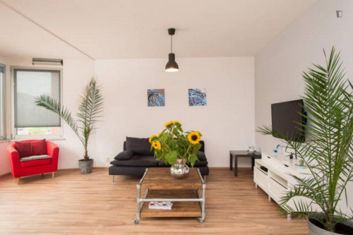 Marvellous 2-bedroom apartment in Stadsdriehoek
