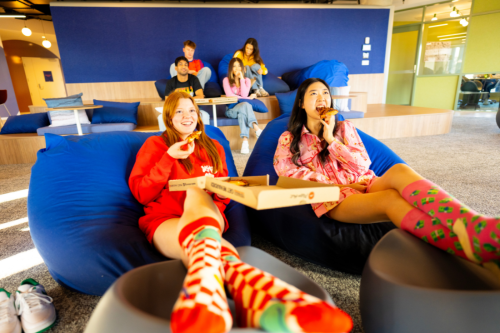 Scape Kingsford  - Gallery -  2