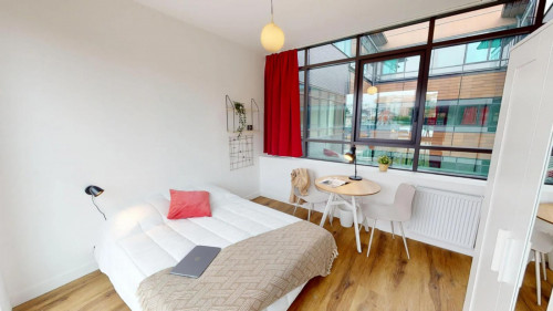 Sunny double bedroom in a 12-bedroom apartment close to Médiathèque Jean-Monnet