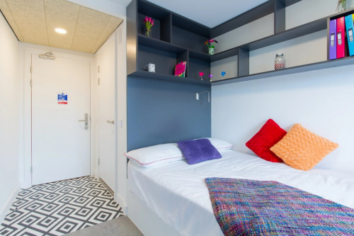 AXO Paradise Student Village  - Gallery -  5