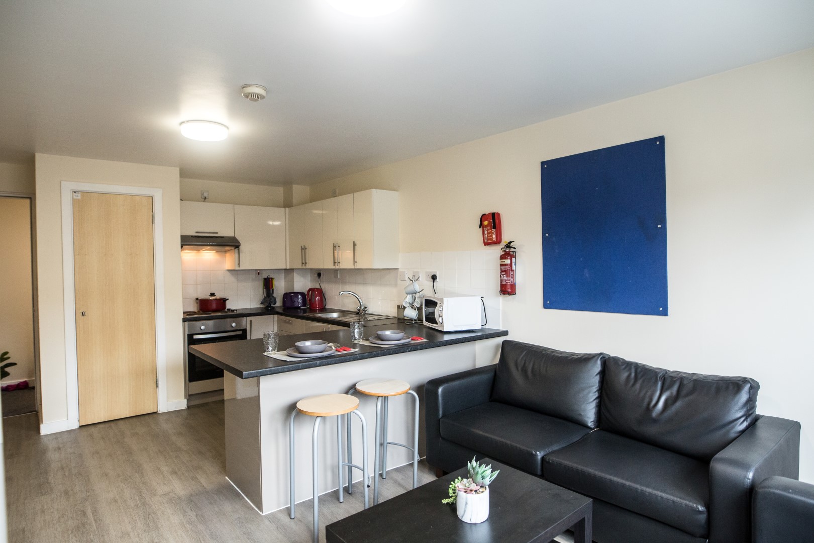 Bronze En-Suite  -  AXO Paradise Student Village  - Gallery -  6