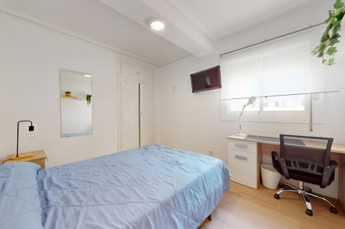 Great looking single bedroom
