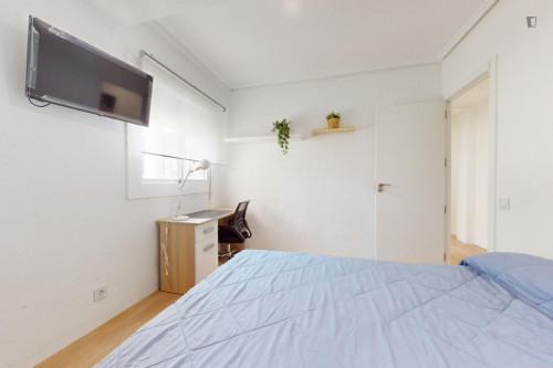 Great looking single bedroom