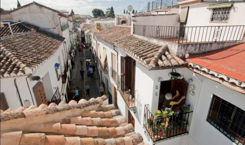 Nice 2-bedroom flat in sunny Albaicín, Granada