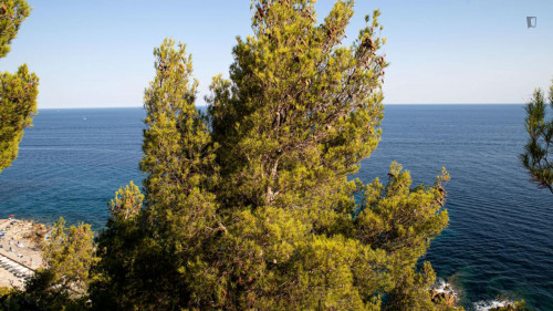 Charming 1-bedroom apartment with balcony near Capo Nero
