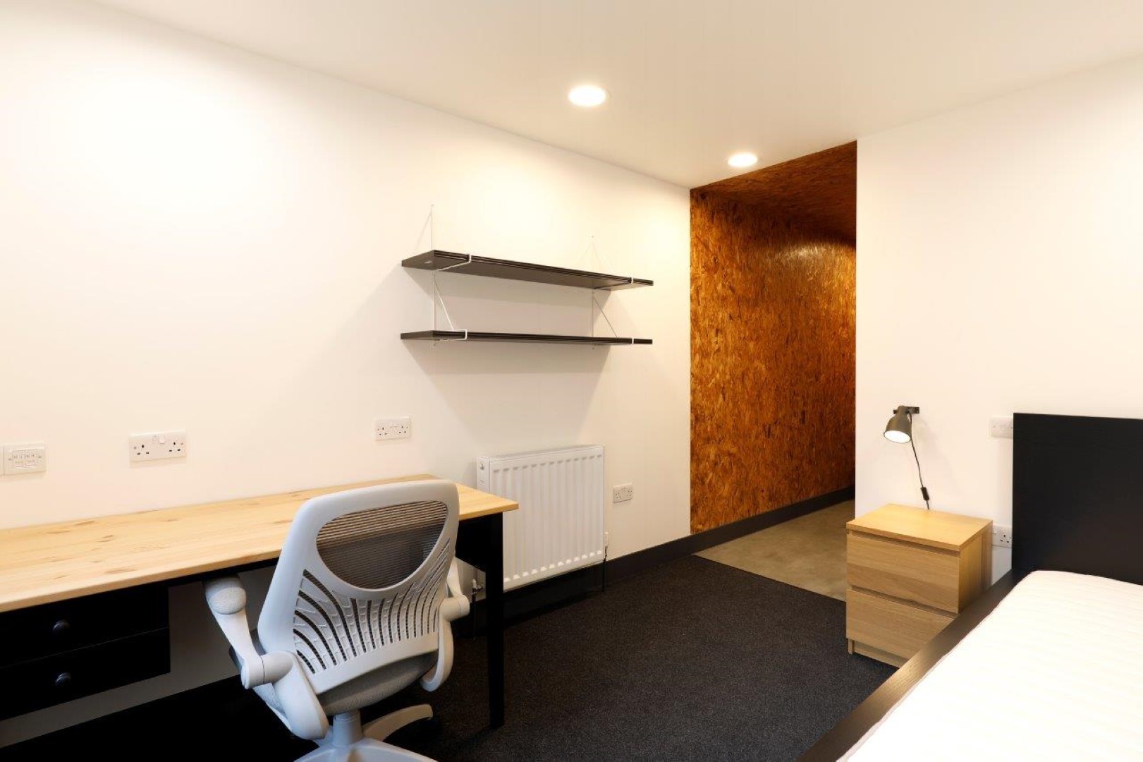  Bronze Studio Deluxe  -  AXO Camden  - Gallery -  1