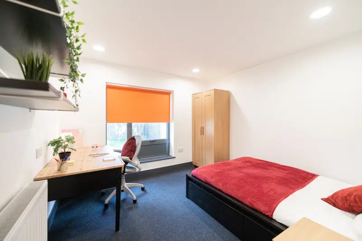  Gold Studio Deluxe  -  AXO Camden  - Gallery -  2