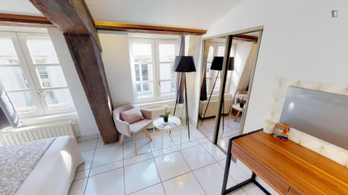 Snug double bedroom close to Musée des Beaux-Arts de Lyon