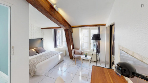 Snug double bedroom close to Musée des Beaux-Arts de Lyon