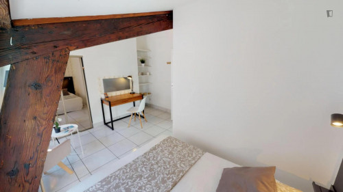 Snug double bedroom close to Musée des Beaux-Arts de Lyon