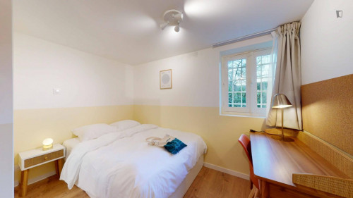 Cute double bedroom in Pantin