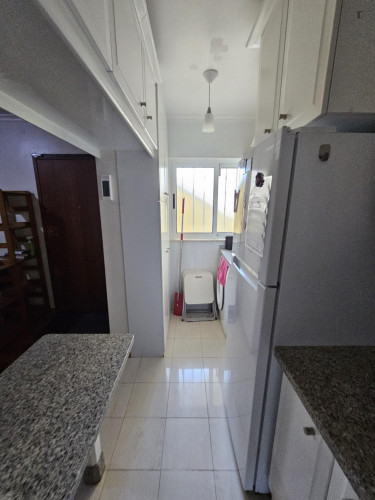 Lovely single bedroom in Olivais