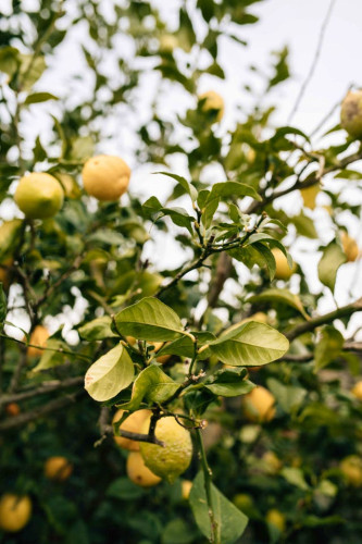 Rural Stunning House Close w/ Outdoor Views