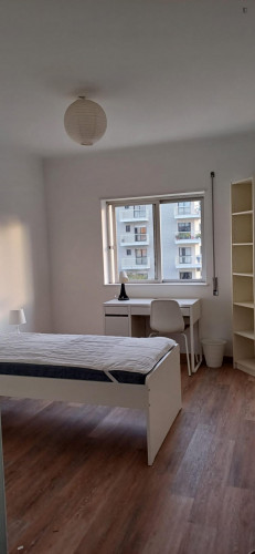 Cool single bedroom in Norton de Matos