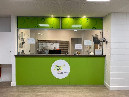 Zest OK Auckland - Others