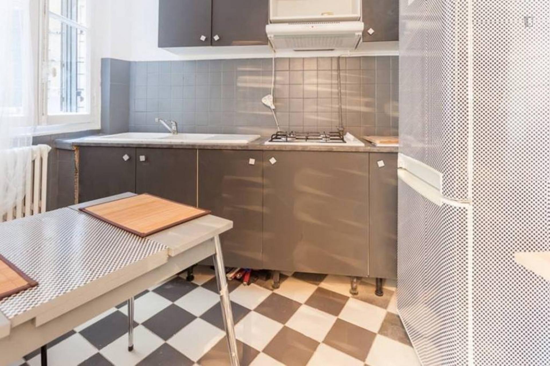 Montmartre hausmanian appartment -private bedroom and private living room