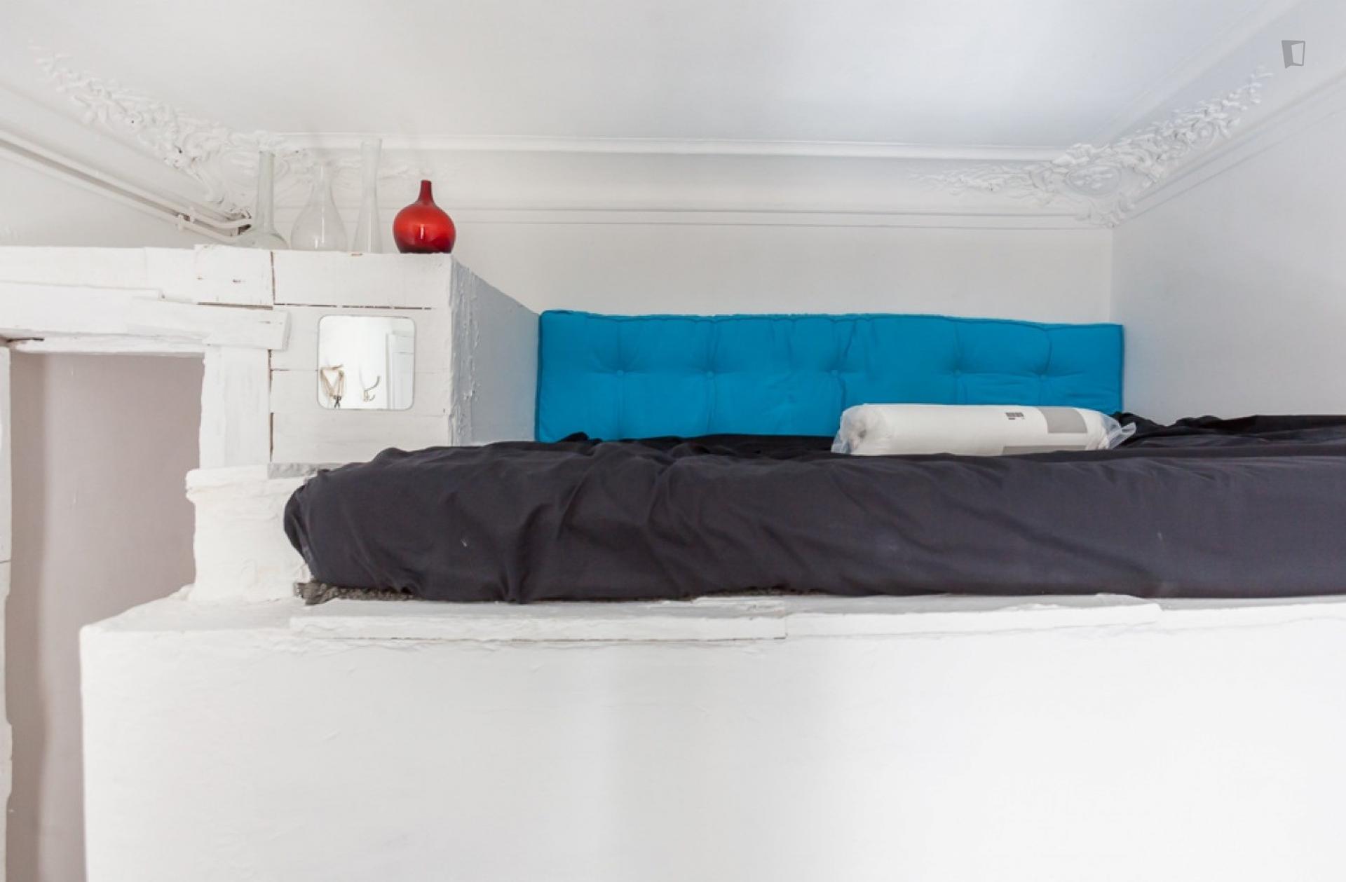 Montmartre hausmanian appartment -private bedroom and private living room