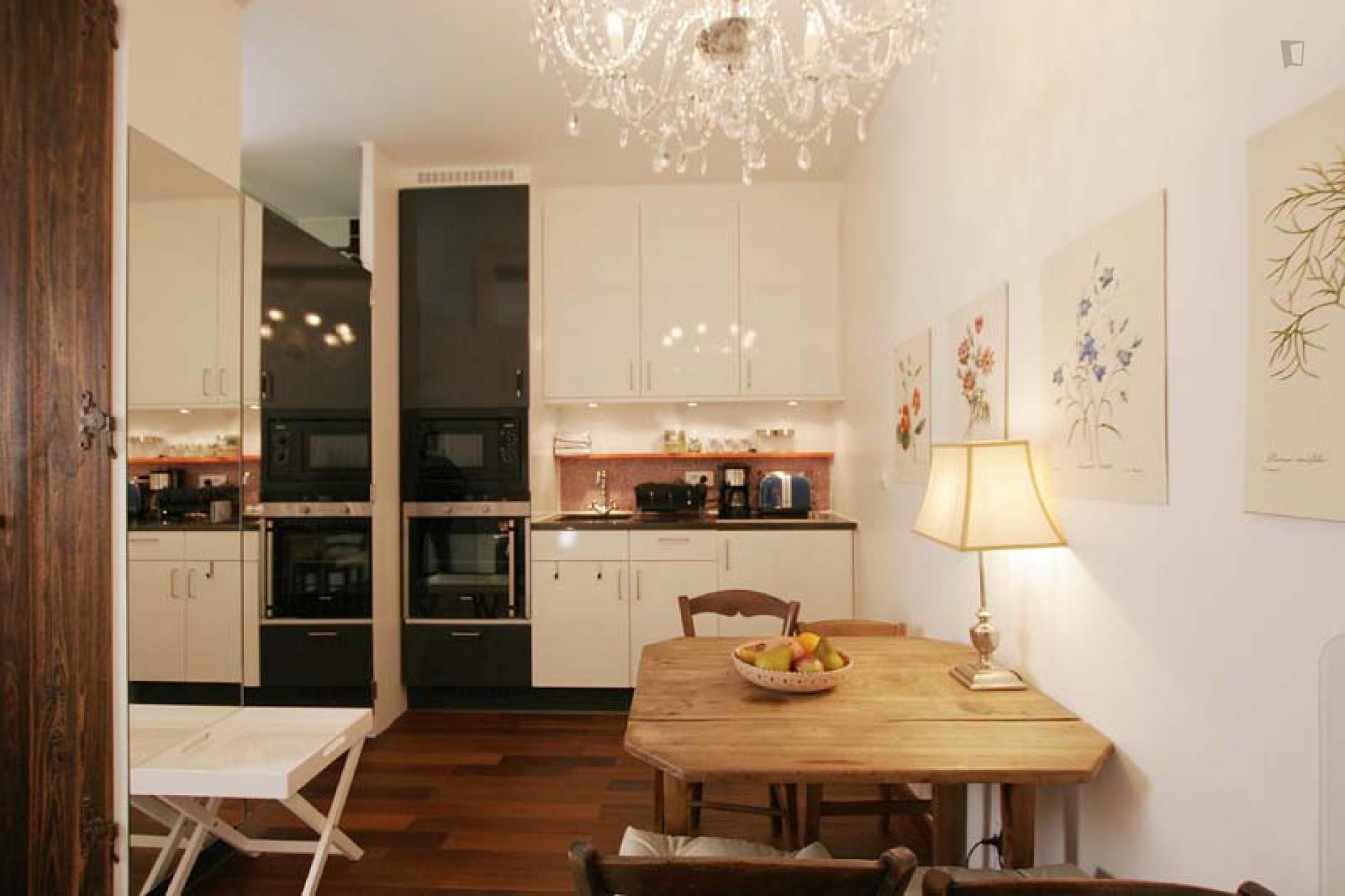 Fashionable studio apartment in classic Monnaie neighbourhood