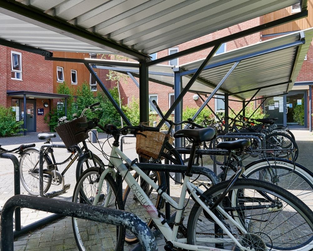 The Mews