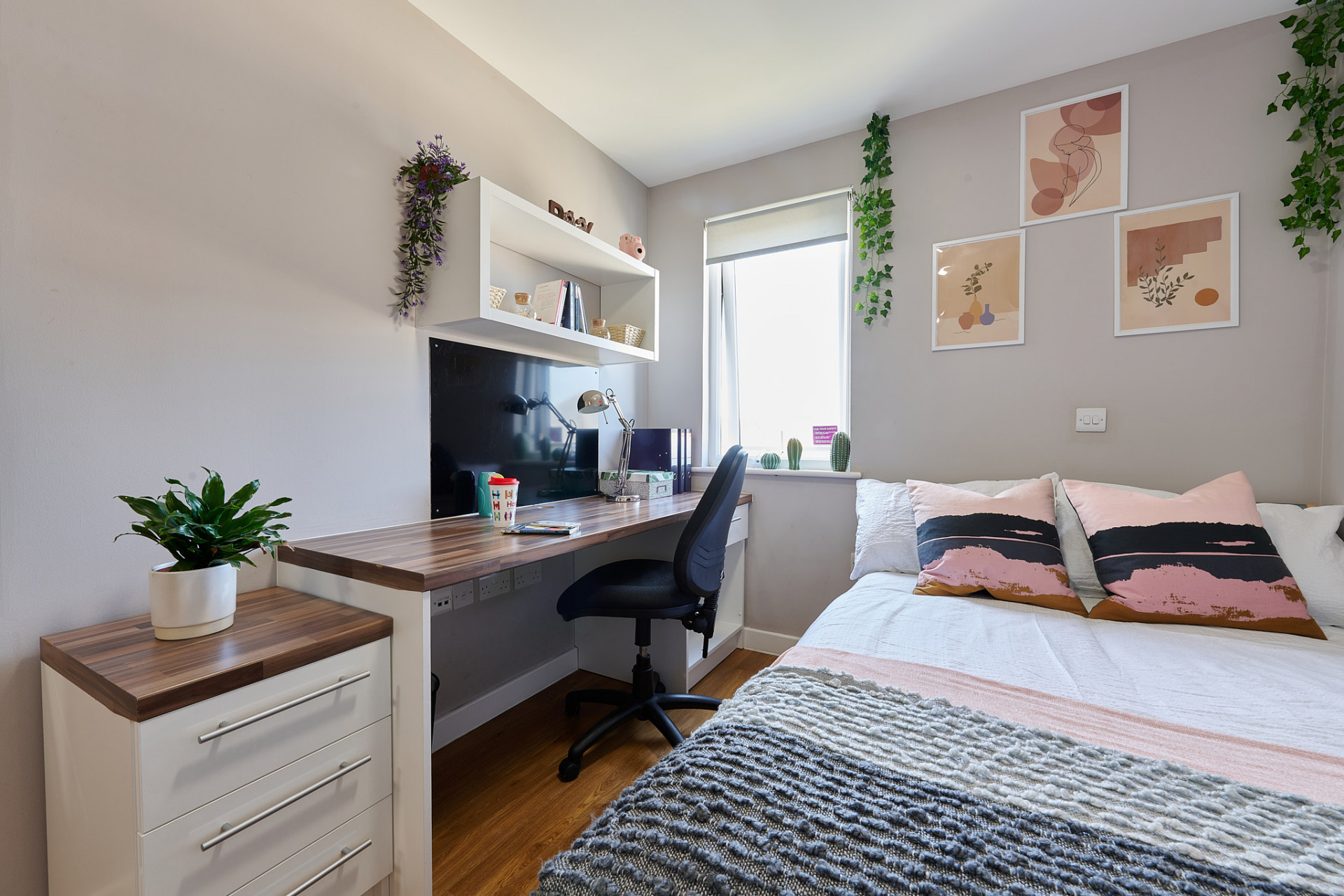  Classic En-Suite (5-Bed)  -  The Mews  - Gallery -  6